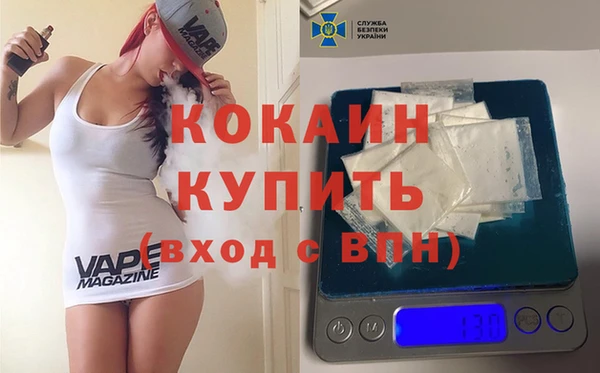 стаф Богородск