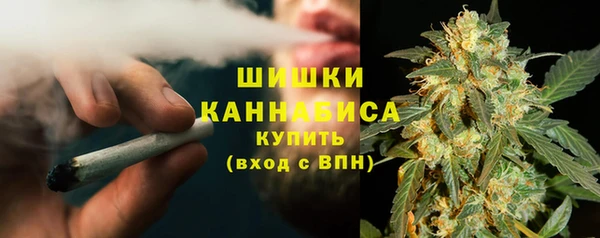 стаф Богородск