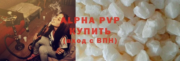 стаф Богородск