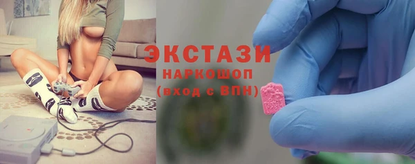 стаф Богородск