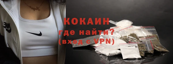 стаф Богородск