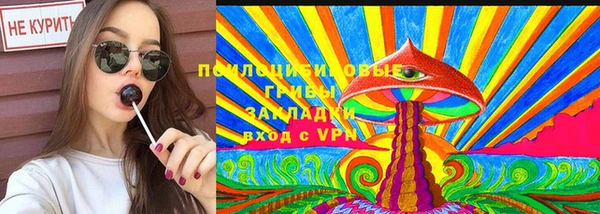 mdma Богородицк