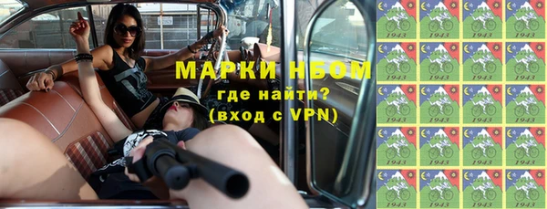 стаф Богородск