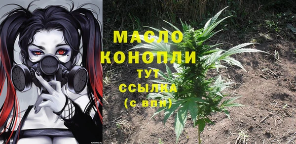 стаф Богородск