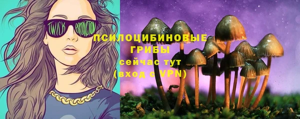 амф Богданович