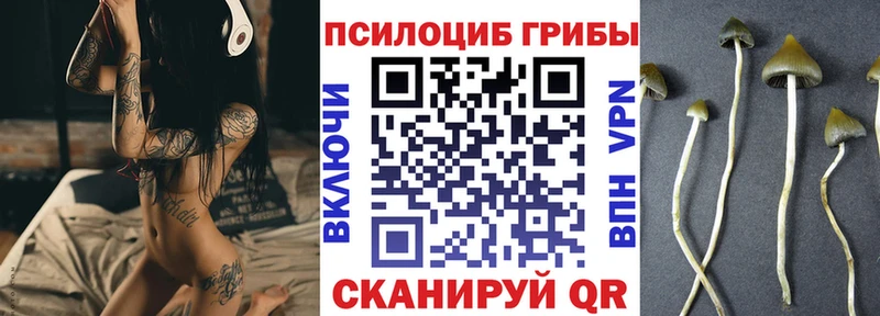 Галлюциногенные грибы мухоморы купить закладку сайты даркнета формула Мытищи
